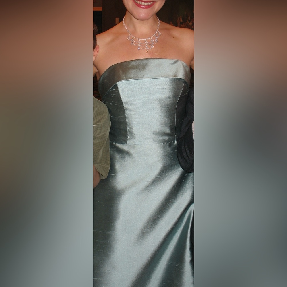 James Purcell raw silk gown